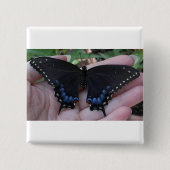 Black Swallowtail Butterfly #1 Vierkante Button 5,1 Cm (Voorkant)