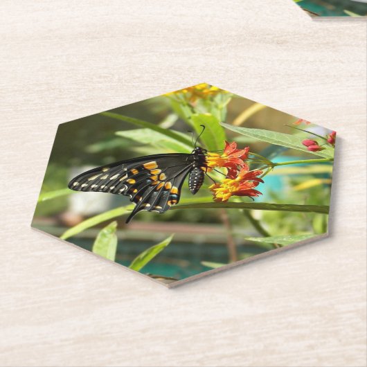 Black Swallowtail Butterfly #2 Kartonnen Onderzetters (Schuin)