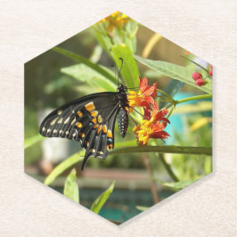 Black Swallowtail Butterfly #2 Kartonnen Onderzetters