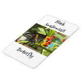 Black Swallowtail Butterfly #2 Magneet (Linkerzijde)