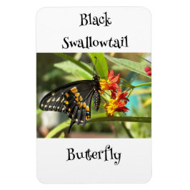Black Swallowtail Butterfly #2 Magneet