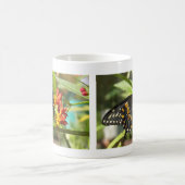 Black Swallowtail Butterfly#2-mok Koffiemok (Center)