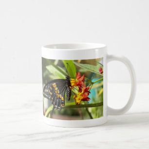 Black Swallowtail Butterfly#2-mok Koffiemok