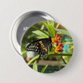 Black Swallowtail Butterfly #2 Ronde Button 7,6 Cm (Voorkant /achterkant)