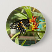 Black Swallowtail Butterfly #2 Ronde Button 7,6 Cm (Voorkant)
