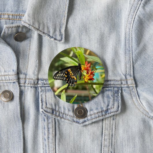 Black Swallowtail Butterfly #2 Ronde Button 7,6 Cm (In situ)