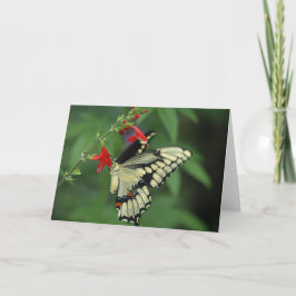 Black Swallowtail Butterfly Blank Wenskaart Bedankkaart