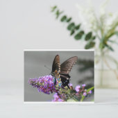 Black Swallowtail Butterfly Briefkaart (Staand voorkant)