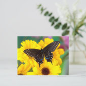 Black Swallowtail butterfly Briefkaart (Staand voorkant)
