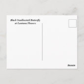 Black Swallowtail Butterfly Briefkaart (Achterkant)