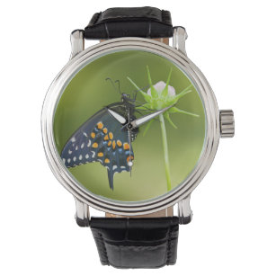 Black Swallowtail butterfly Horloge