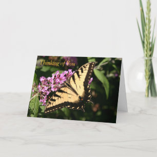 Black Swallowtail Butterfly-kaart Kaart