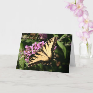 Black Swallowtail Butterfly-kaart Kaart