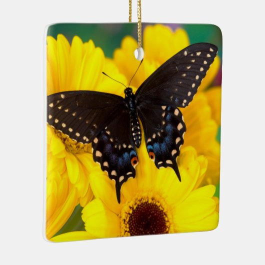 Black Swallowtail butterfly Keramisch Ornament (Rechts)