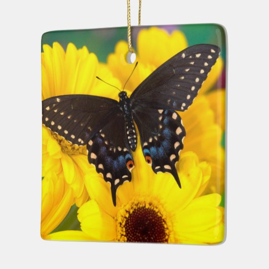 Black Swallowtail butterfly Keramisch Ornament (Links)