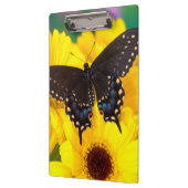 Black Swallowtail butterfly Klembord (Links)