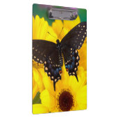 Black Swallowtail butterfly Klembord (Rechts)