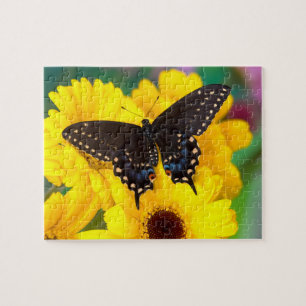 Black Swallowtail butterfly Legpuzzel