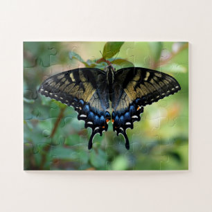 Black Swallowtail butterfly Legpuzzel