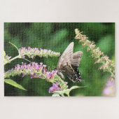 Black Swallowtail butterfly Legpuzzel (Horizontaal)