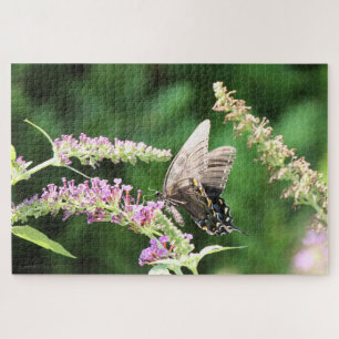 Black Swallowtail butterfly Legpuzzel