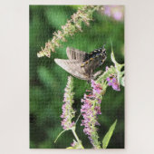 Black Swallowtail butterfly Legpuzzel (Verticaal)