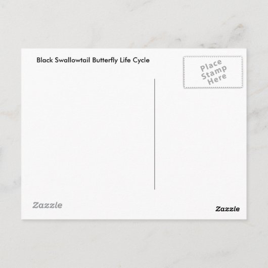 Black Swallowtail Butterfly Life Cycle Briefkaart (Achterkant)