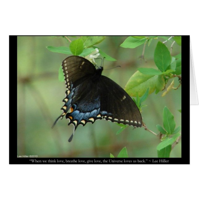 Black Swallowtail Butterfly - Love Gifts & Apparel (Voorkant Horizontaal)