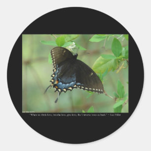 Black Swallowtail Butterfly - Love Gifts & Apparel Ronde Sticker