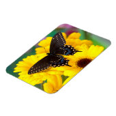 Black Swallowtail butterfly Magneet (Linkerzijde)