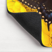 Black Swallowtail butterfly Muismat (Hoek)