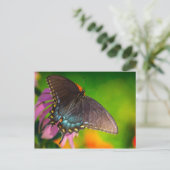 Black Swallowtail Butterfly, Ohio Briefkaart (Staand voorkant)