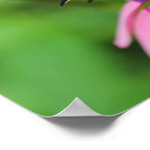 Black Swallowtail Butterfly op een Coneflower, Ohi Poster (Hoek)