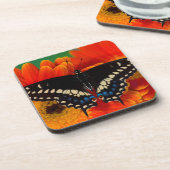 Black Swallowtail Butterfly op Gerberia Daisy Bier Onderzetter (Linkerzijde)