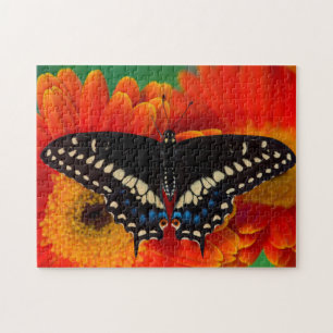 Black Swallowtail Butterfly op Gerberia Daisy Legpuzzel