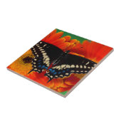 Black Swallowtail Butterfly op Gerberia Daisy Tegeltje (Zijkant)