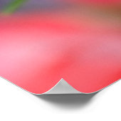 Black Swallowtail Butterfly op Zinnia Poster (Hoek)