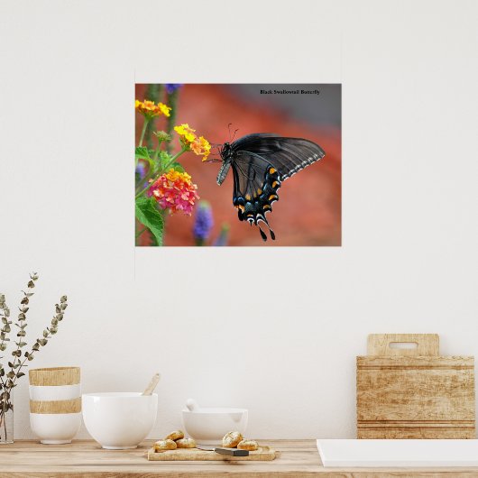Black Swallowtail Butterfly Poster (Keuken)