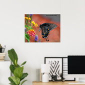 Black Swallowtail Butterfly Poster (Thuiskantoor)