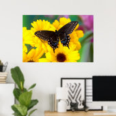 Black Swallowtail butterfly Poster (Thuiskantoor)