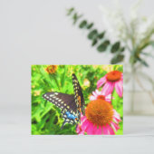 Black Swallowtail Butterfly roze Echinacea Flowers Briefkaart (Staand voorkant)