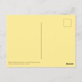 Black Swallowtail Butterfly roze Echinacea Flowers Briefkaart (Achterkant)