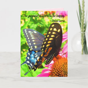 Black Swallowtail Butterfly roze Echinacea Flowers Kaart