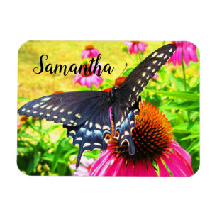 Black Swallowtail Butterfly roze Echinacea Flowers Magneet