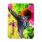 Black Swallowtail Butterfly roze Echinacea Flowers Magneet (Verticaal)