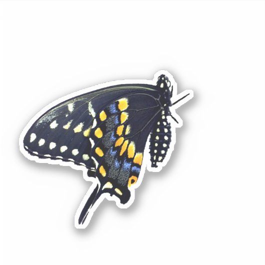 Black Swallowtail Butterfly Sticker (Voorkant)