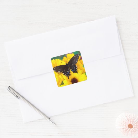 Black Swallowtail butterfly Vierkante Sticker (Envelop)