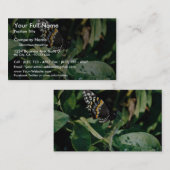 Black swallowtail butterfly, Wichita, Kansas, Vere Visitekaartje (Voorkant / Achterkant)