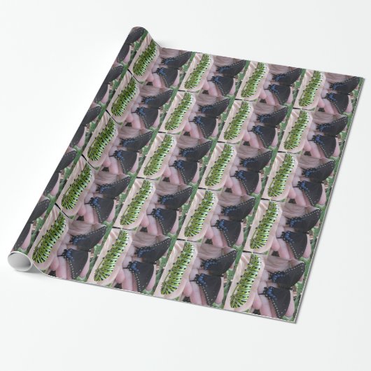 Black Swallowtail Cat/Butterfly wrapping paper Cadeaupapier (Uitgerold)