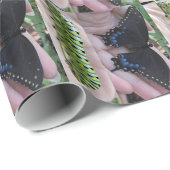 Black Swallowtail Cat/Butterfly wrapping paper Cadeaupapier (Rol Hoek)